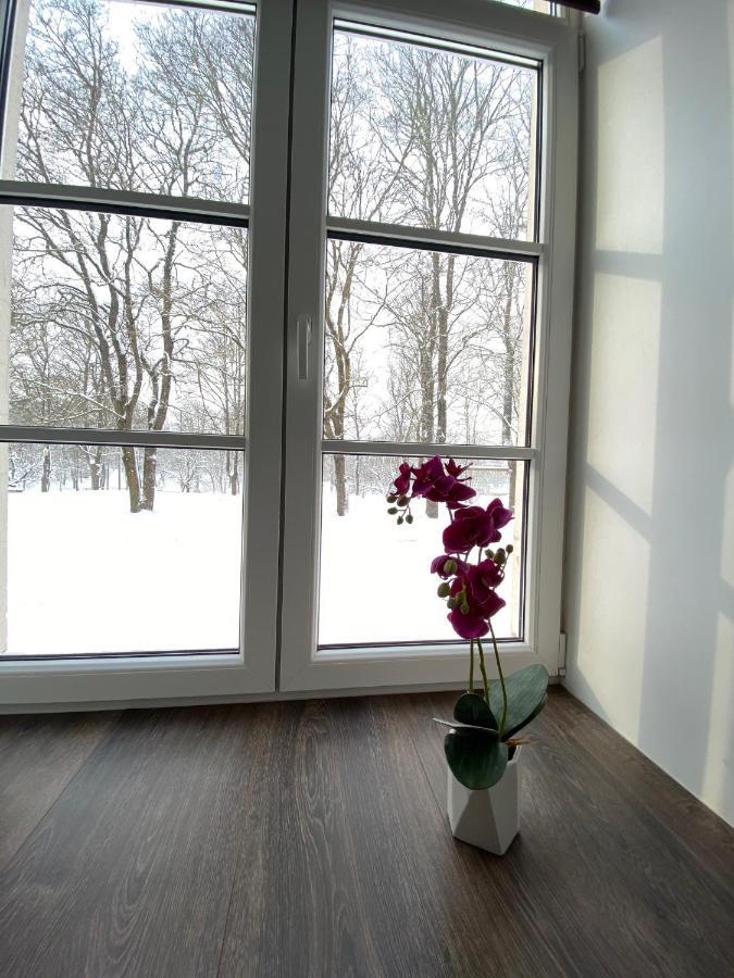 Vabriku 6 Apartment With Sauna Rakvere Eksteriør bilde